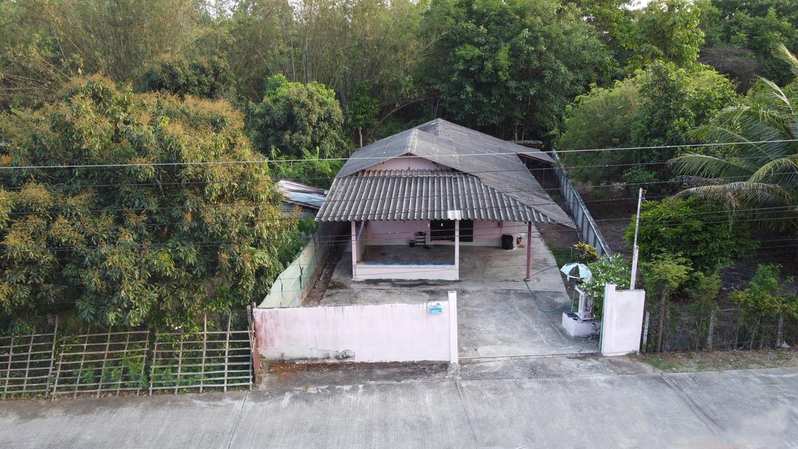 บ้านพร้อมที่ดิน 100 ตร.ว. 3 ห้องนอน 2 ห้องน้ำ ห้วยทราย สันกำแพง