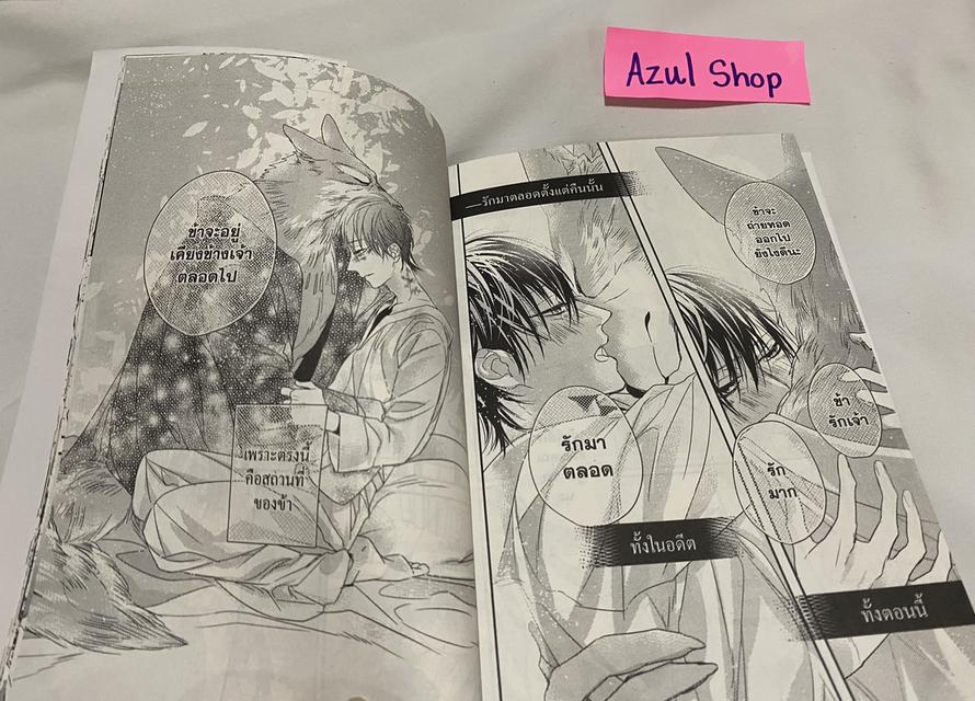 🍇มังงะวาย : บ่วงรัก -สัตว์อสูร- (เล่มเดียวจบ) 2