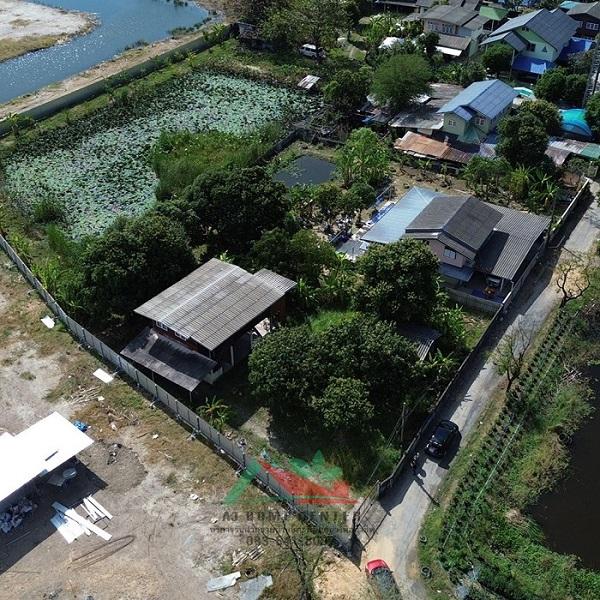 ขายที่ดินพร้อมบ้านและบ่อบัว ขนาด1-1-66ไร่ ซ.วัดเวฬุวนาราม18 ราคาพร้อมคุย 6