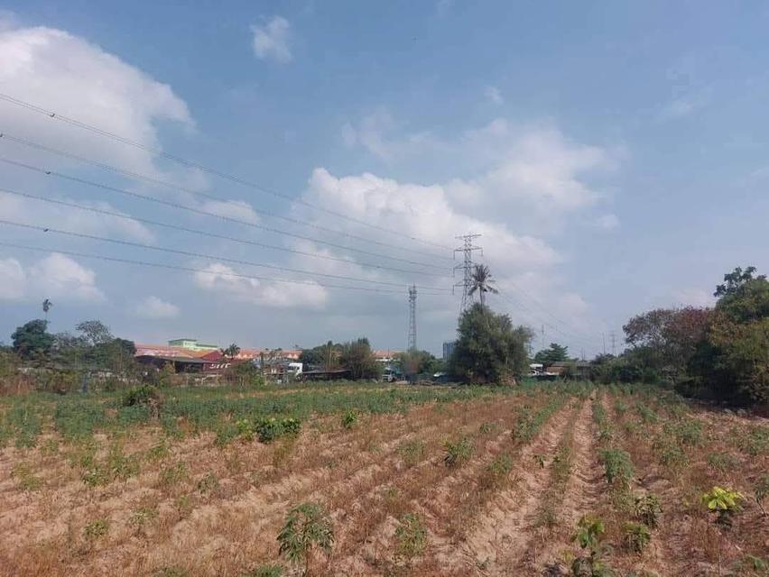 ที่ดิน 3 ไร่ 2 งาน แหลมฉบัง ใกล้ท่าเรือ 3 กม. 2