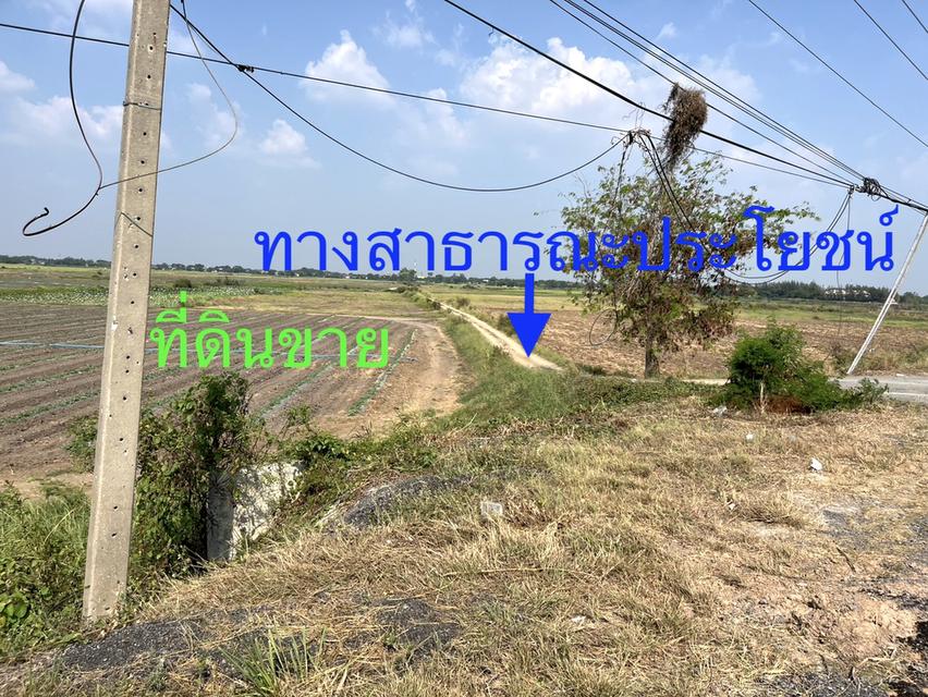 ขายที่ดินติดถนนสายอยุธยา อ่างทอง 083 610 6693 16