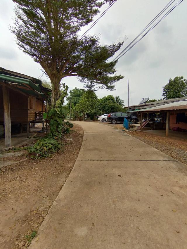 ขายที่ดินพร้อมบ้านเนื้อที่ 140 ตรว. ใกล้วัดหนองปาตอง700เมตร ต.หนองยาว อ.พนมสารคาม ฉะเชิงเทรา 3