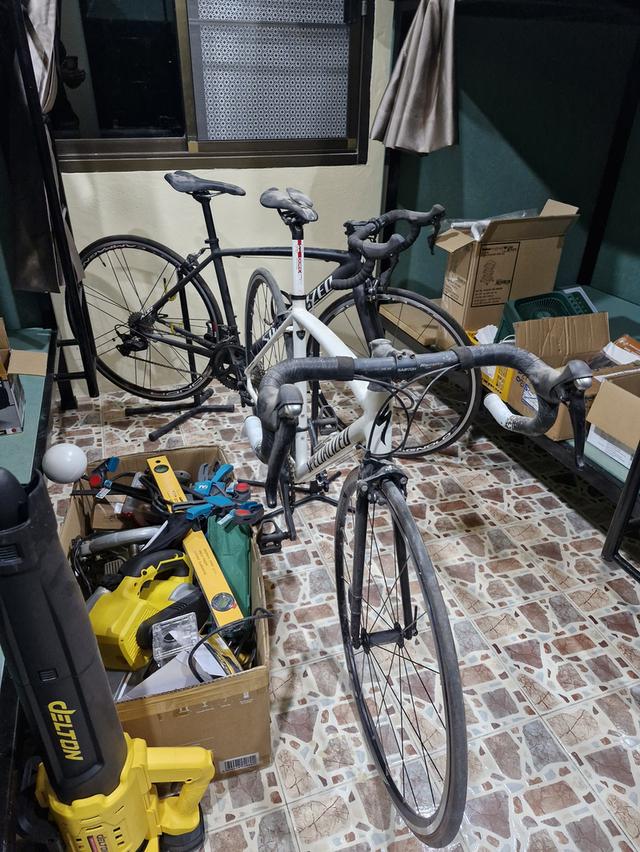 จักรยานเสือหมอบ specialized