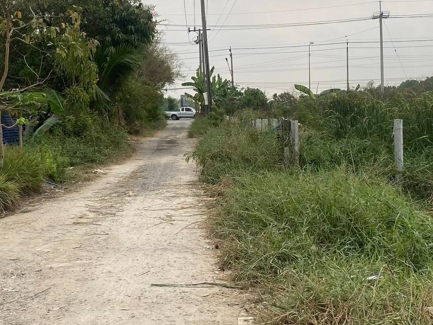 ขายที่ดินเปล่า เหมาะกับการทำธุรกิจ 3