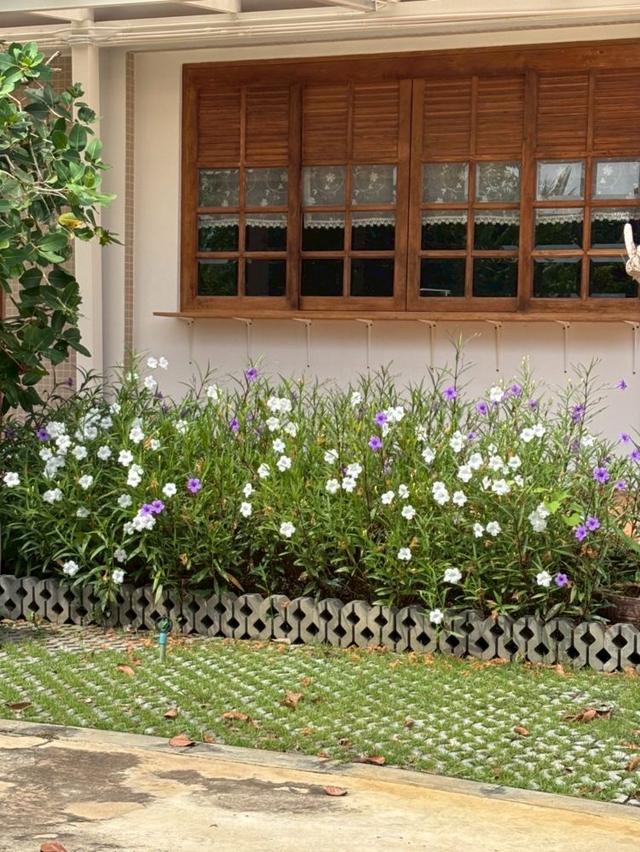 ขายที่ดิน 5 ไร่ พร้อมบ้านพักสไตล์รีสอร์ท ติดคลองสวย พร้อมโอน บ้านแพ้ว 4 ตำบลหลักสาม สมุทรสาคร  8
