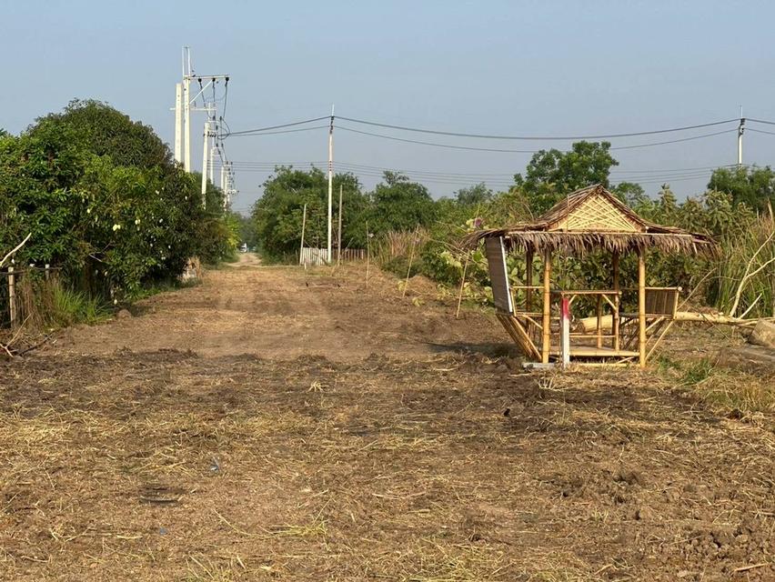 ที่ดินหนองจอก กรุงเทพ 2