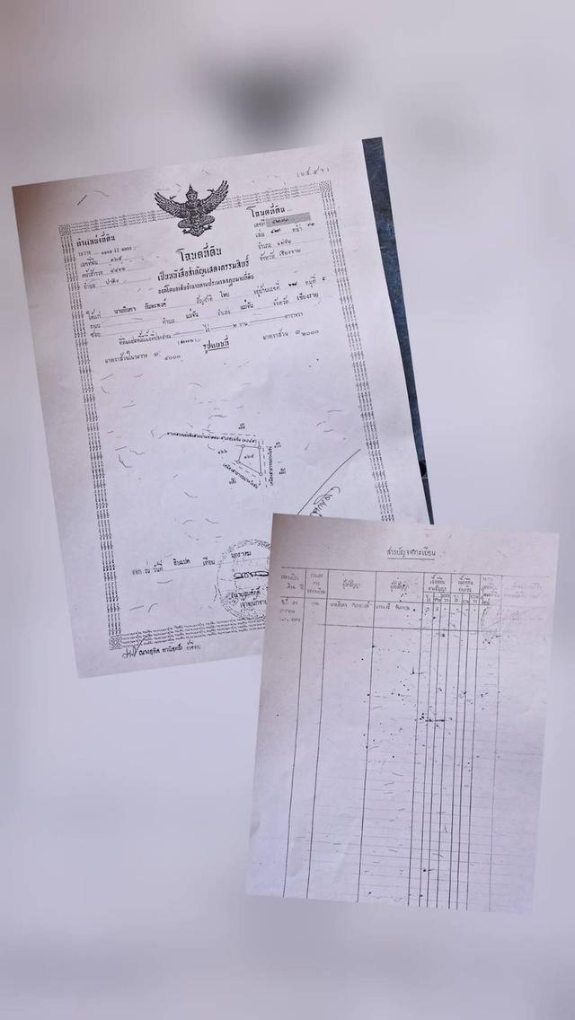 🔥 ขายถูก! บ้าน 3 หลังพร้อมที่ดินกว้างเกือบ 1 ไร่ ทำเลทอง อ.แม่จัน น้ำไม่ท่วม! 🏡 ​📣 รายละเอียดทรัพย์: ​เนื้อที่: 3 งาน 61 ตารางวา (พื้นที่กว้างขวาง 6