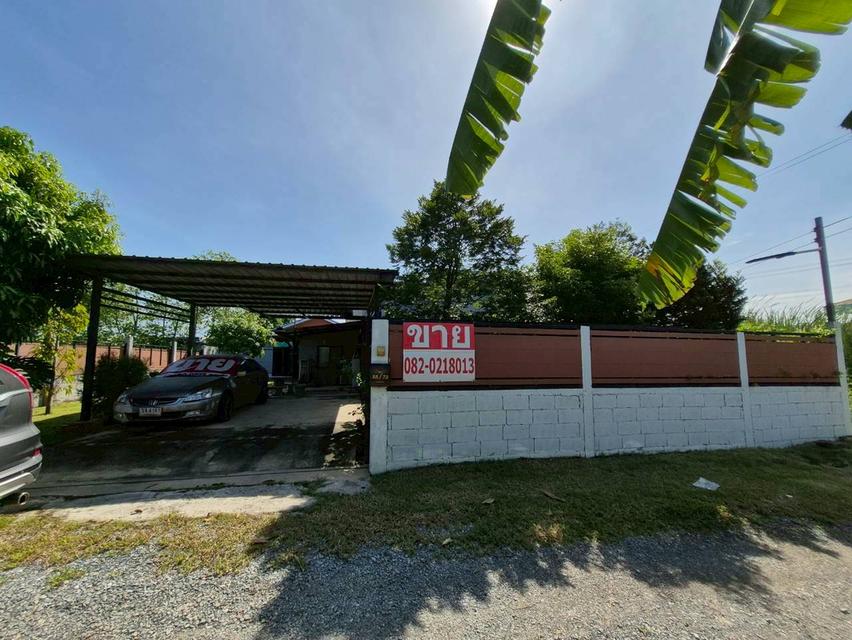 ขายบ้านเดี่ยว 1ชั้น วัดราษฎร์นิยม บางใหญ่นนทบุรี 1