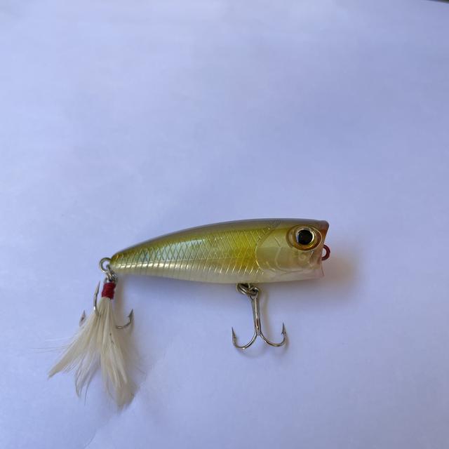 Lucky craft bevy popper 4.2g
