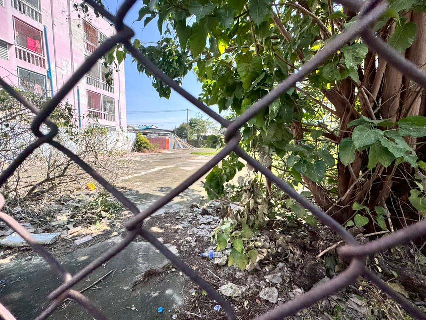 ขายที่ดินถมแล้ว ซอยลาซาล 26 ทำเลดี ห่างจากปากซอย 250 เมตร (N.1930) 10