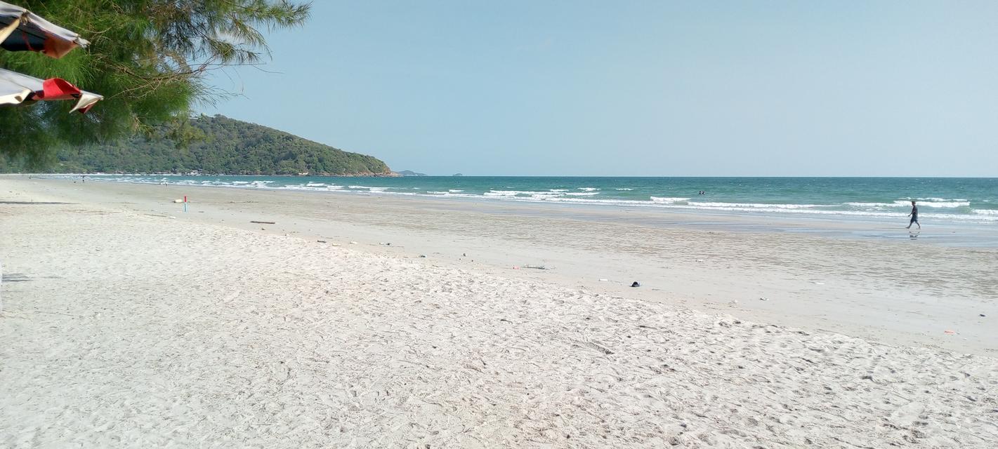 ที่ดิน 4 ไร่ ทำเลทอง 8