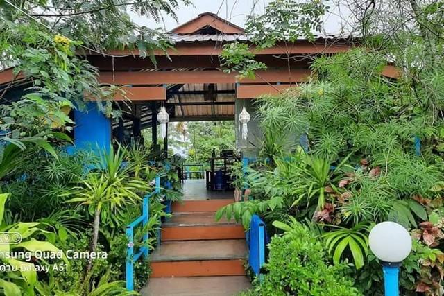 ขายที่ดินพร้อมสิ่งปลูกสร้าง (ร้านอาหาร) เนื้อที่ 1 ไร่ 2 งาน 85 ตรว. ต.สันโป่ง อ.แม่ริม จ.เชียงใหม่ 1