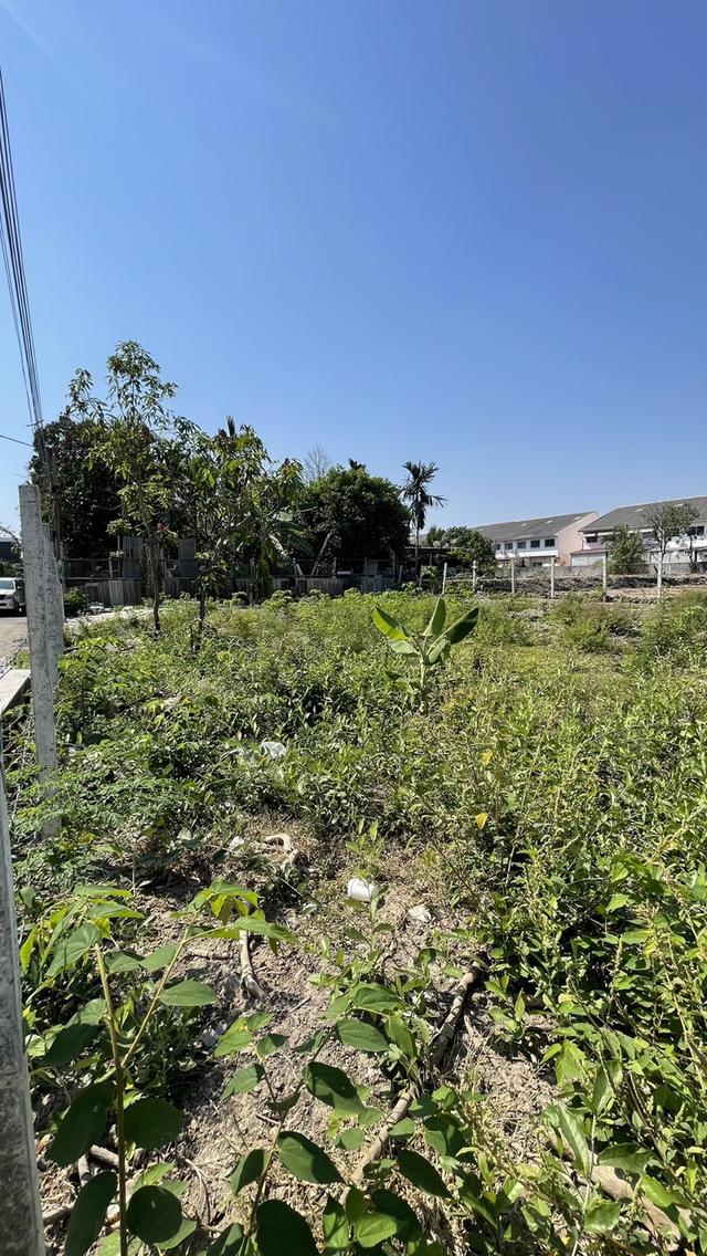 ให้เช่าที่ดินเปล่า ซ.สายไหม 25 3