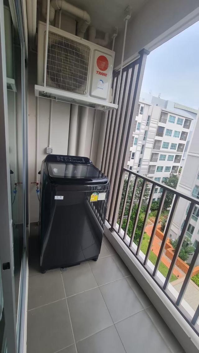 D-condo rin 11