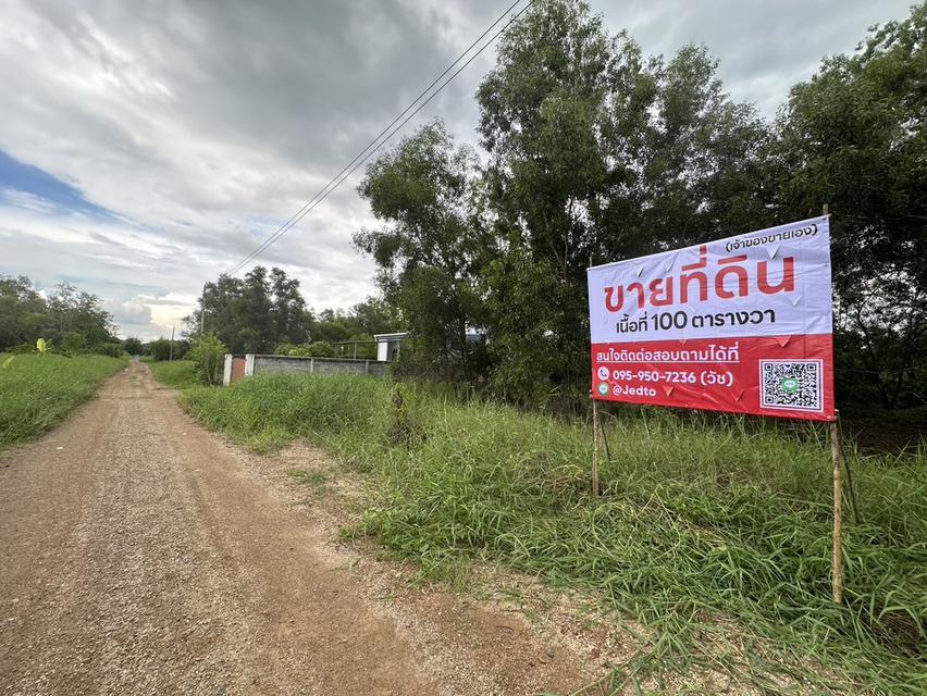 ประกาศขายที่ดิน คลอง6 ซอย คลองหกตะวันตก53 เนื้อที่ 100 ตารางวา ตำบลคลองหก อำเภอคลองหลวง ปทุมธานี** 1