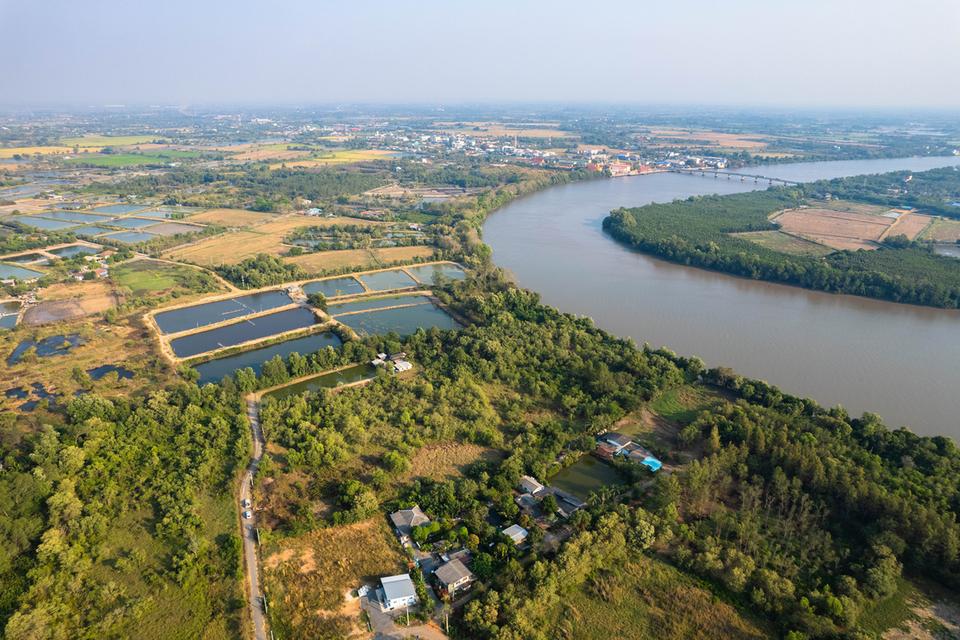 ขายที่ดิน ติดแม่น้ำบางปะกง เนื้อที่ 18 ไร่ 2 งาน 39 ตารางวา ตั้งอยู่ที่ ต.บางกรูด อ.บ้านโพธิ์ จ.ฉะเชิงเทรา 5