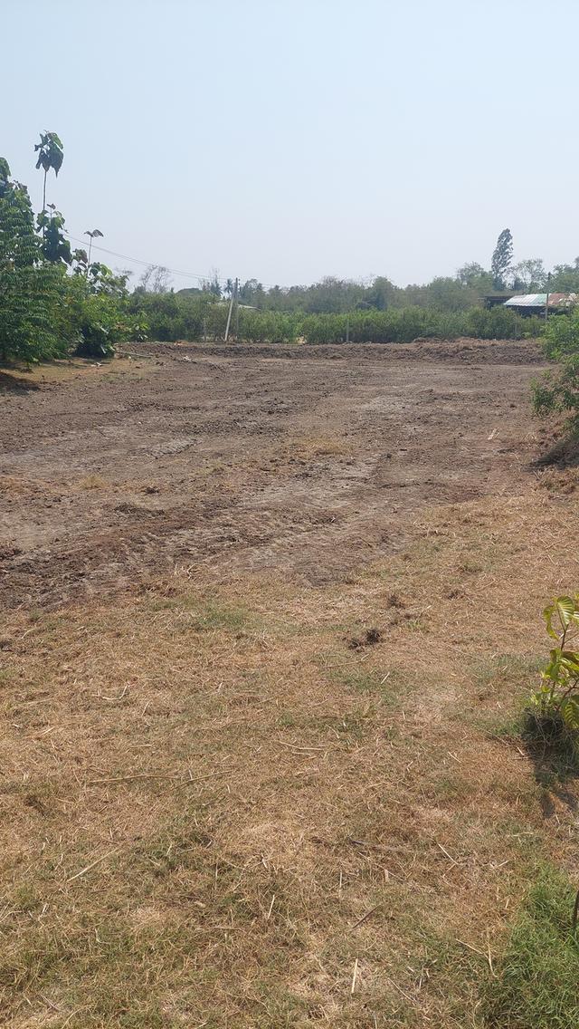 ที่ดินสองไร่พร้อมบ้านสวน 3