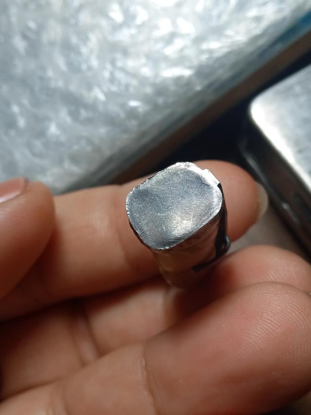 เขียวเสือแกะจับเงินเก่า 3