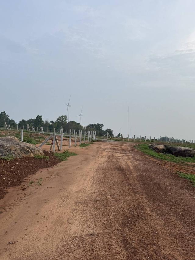 ที่ดินเเบ่งขาย วิวบนเขามีน้ำในเเปลง คมนาคมสะดวก ลานกางเต้นท์ 6