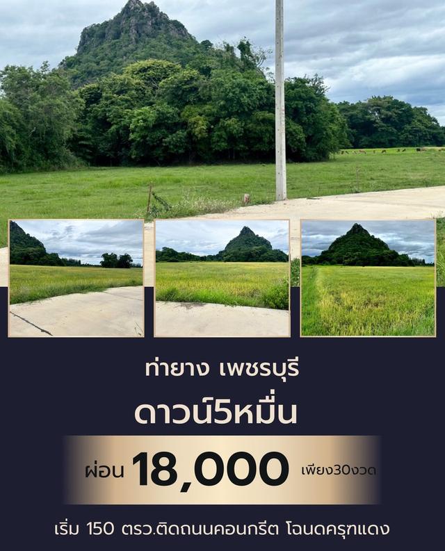 ที่ดิน ท่ายาง จ.เพชรบุรี 1