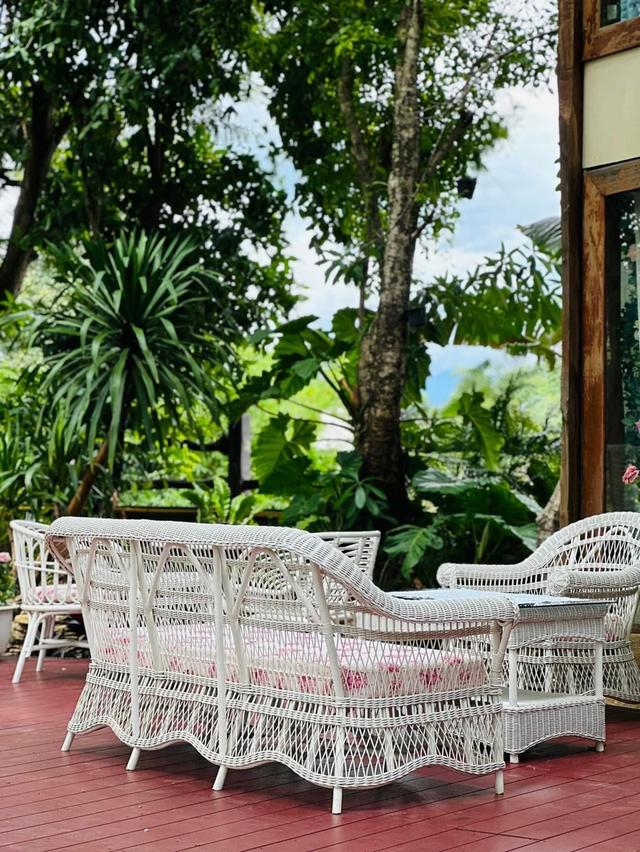House Wooden for sale at a very special low price; ready for 100% title Chiang Mai. hot price on sale ขายกิจการหรือปรับเป็นบ้านสวน ร 3