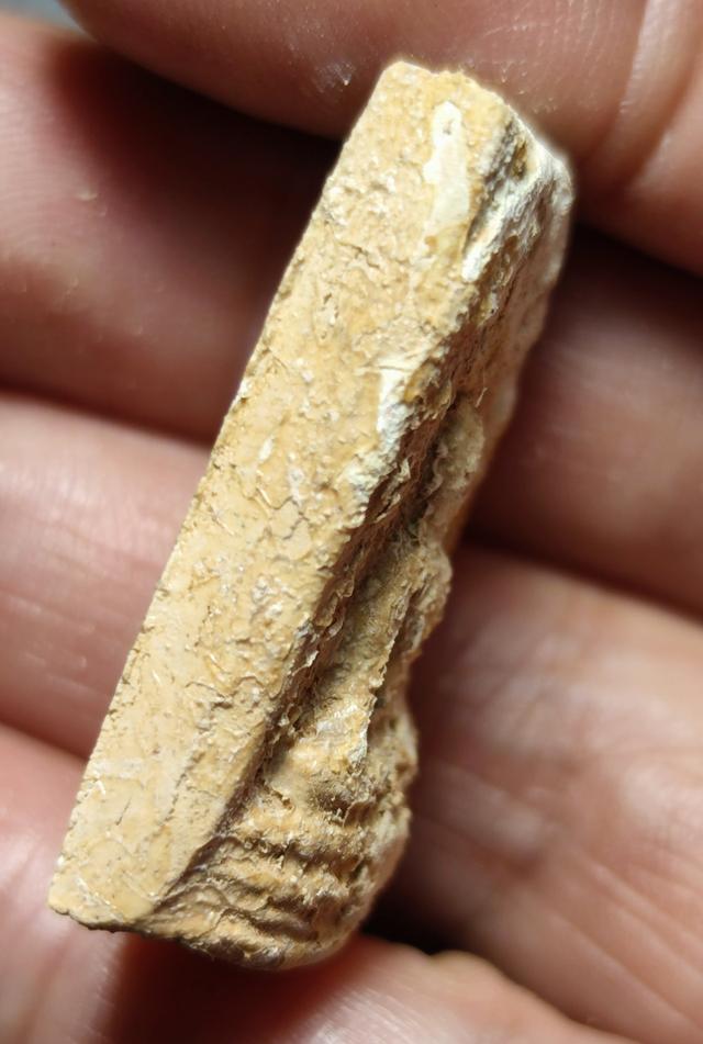 หลวงปู่โต๊ะวัดประดู่ฉิมพลี รูปที่ 4