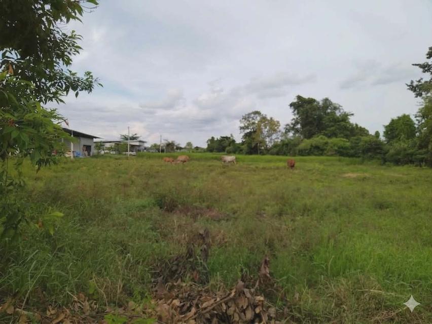 ที่ดินเปล่า​ ใกล้ร.พ.ส่งเสริมสุข​ภาพ​ตำบลหนองกอมเกาะ 4