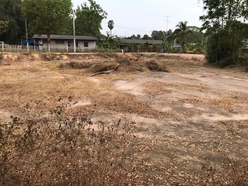 ขายที่ดินท่าถ่าน 260 ตรว. ติดถนน2ด้านซอยท่าถ่านหมู่7 ใกล้ถนนสี่เลน304- 1.2 กม. พนมสารคาม ฉะเชิงเทรา 3