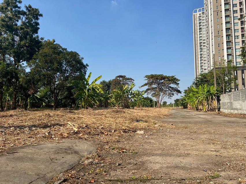 ขาย / ให้เช่า ที่ดินแปลงใหญ่ติดถนนพระราม 9 เนื้อที่ 7-2-85 ไร่ **เจ้าของขายเอง** 4