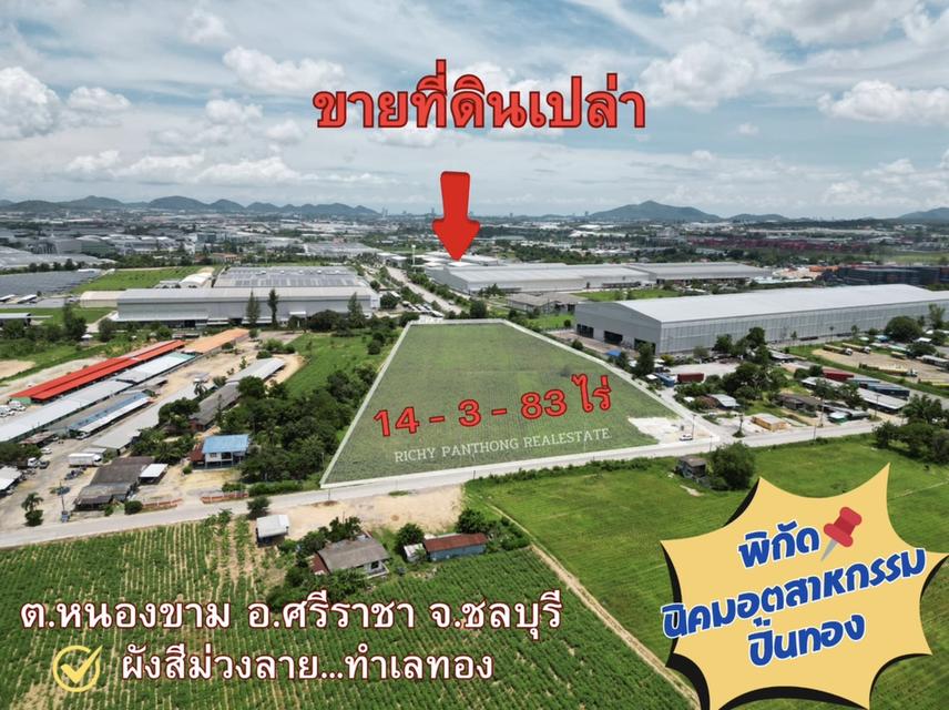 ขายที่ดินเปล่า 14 ไร่ 3 งาน 83 ตารางวา ต.หนองขาม อ.ศรีราชา จ.ชลบุรี   1