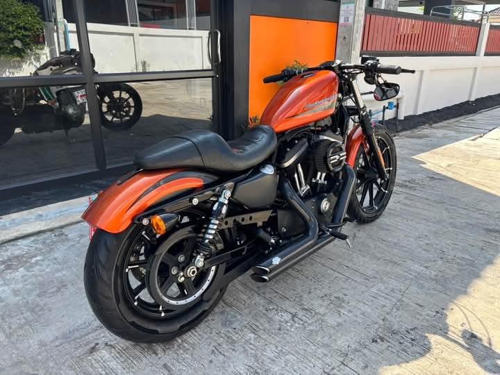 Harley Davidson Iron สีส้ม