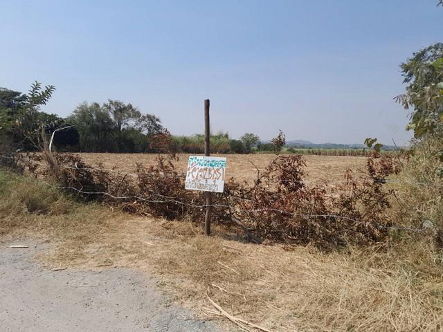 จากใจคนขายถึงใจผู้ซื้อ ที่ปากช่อง 2ไร่- 8ไร่ โฉนด ต.วังไทร อ.ปากช่อง จ.นครราชสีมา ไร่ละ 2.9 ลบ.สูงจากระดับน้ำทะเลมาก น้ำ