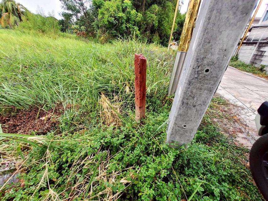 ขายด่วนที่ดิน 206 ตรว  ติดถนนคอนกรีต ซ.ลาดกระบัง 14/1 ราชาเทวะ บางพลี สมุทรปราการ 4