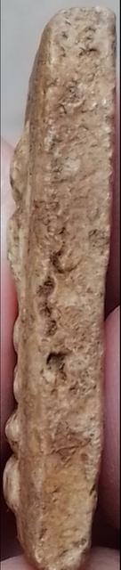 สมเด็จบางขุนพรหม พิมพ์อกครุฑ 3