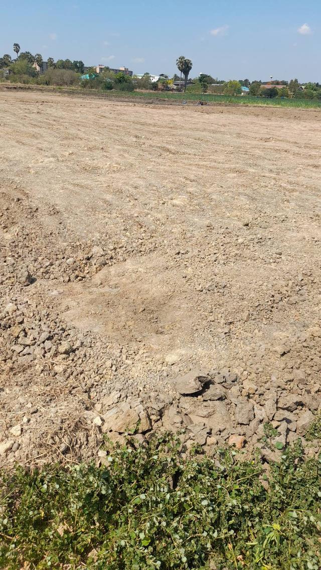  land for sale Nakhon Pathom ขายที่ดินเปล่าสวยมาก กำแพงแสน แบ่งขายได้ แปลง 5 ไร่ เหมาะทำหอพักนักศึกษา ใกล้ มหาลัยเกษตรศาสตร์ กำแพงแสน 7