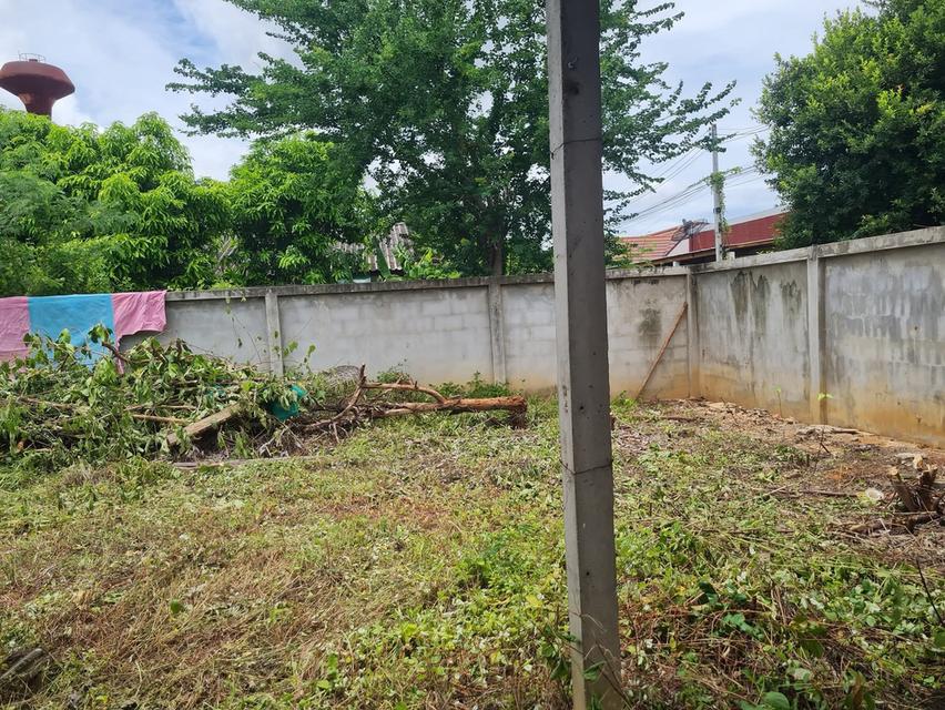 ขายด่วนที่ดินเปล่าลดราคาใกล้โรบินสันกาญจนบุรี 5