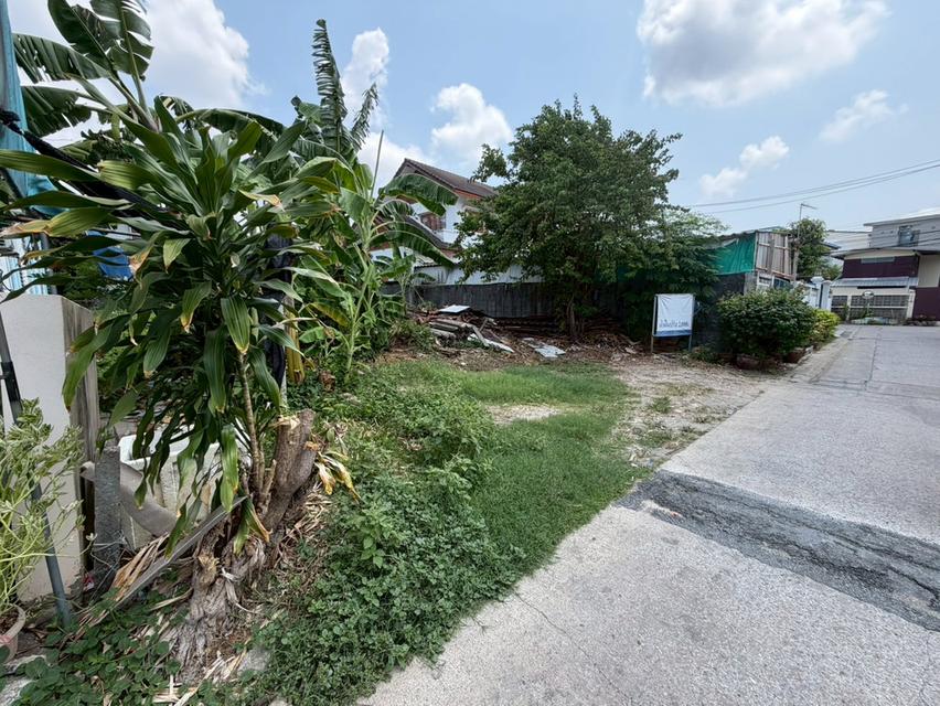 **ขายที่ดิน สมุทรปราการ ซอยบุญศิริ 15 (หน้าหมู่บ้าน)** ✨ ทำเลดี ถมแล้ว พร้อมสร้าง/ลงทุนได้ทันที 💰 **ราคาเพียง 40,000 บาท/ตร.วา**  64 ตารางวา 3