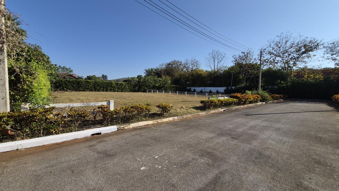 ที่ดินโครงการจัดสรร ต.ปากช่อง อ.ปากช่อง เนื้อที่ 151-343 ตรว. ว่าง 17 แปลง 4