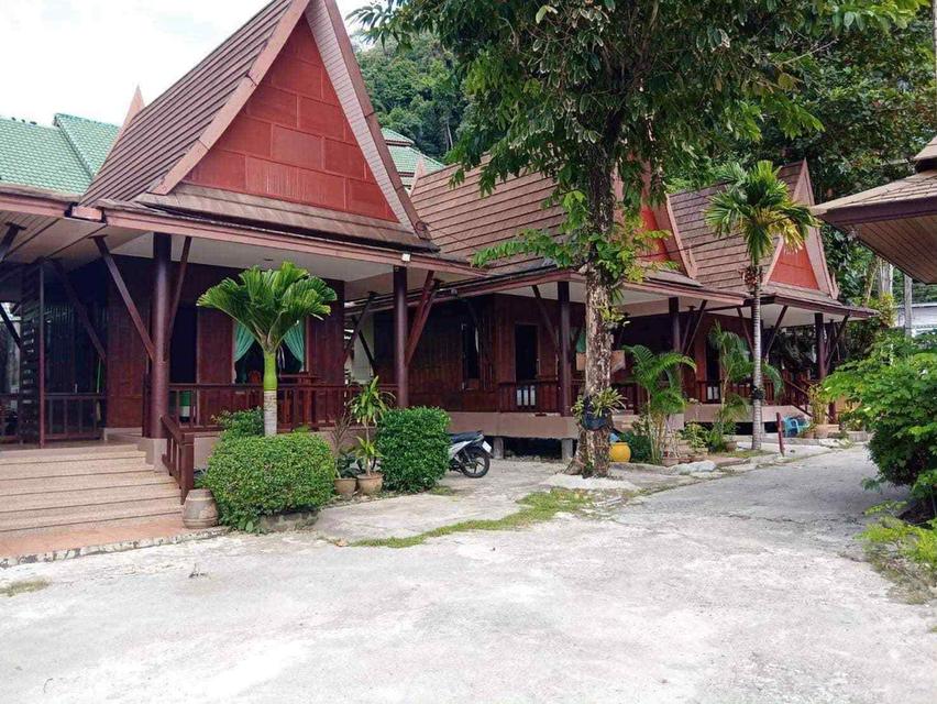 ที่ดิน 19