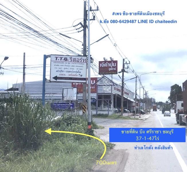 ขายที่ดินศรีราชา 37-1-47ไร่ ติดถนน 215เมตร ลึก 330เมตร ตำบลบึง ศรีราชา ชลบุรี ใกล้นิคมปิ่นทอง ใกล้ตลาดบึงวรกิจ ใกล้ถนนบายพาส ทล.3009 1
