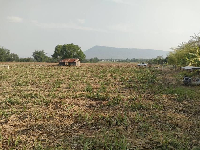 ประกาศขายที่ดินปากช่องแุถวรีสอร์ทบ้านนอกคอกนา ของฉันเอง 15