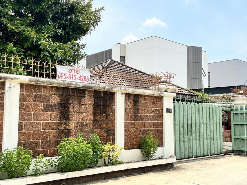 ขาย! บ้านเดี่ยว 235 ตร.ว. 4 ห้องนอน พื้นที่สวนกว้าง ย่านประชานุกูล/ วงศ์สว่าง/ ประชาชื่น  เจ้าของขายเอง ราคาต่อรองได้ 1