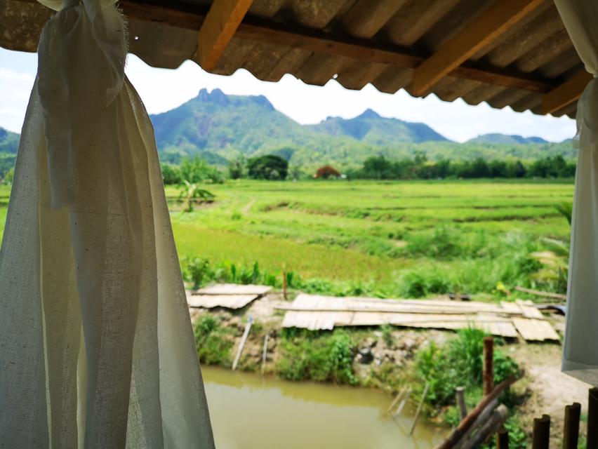 ที่ดิน จ.ลำปาง ที่นา วิวสวยบรรยากาศดี 8