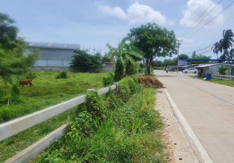 ขายที่ดินห้วยใหญ่ พัทยา 4 ไร่ ซอยห้วยยายจีนใกล้หาดจอมเทียน 11 กม. อ.บางละมุง ชลบุรี 3