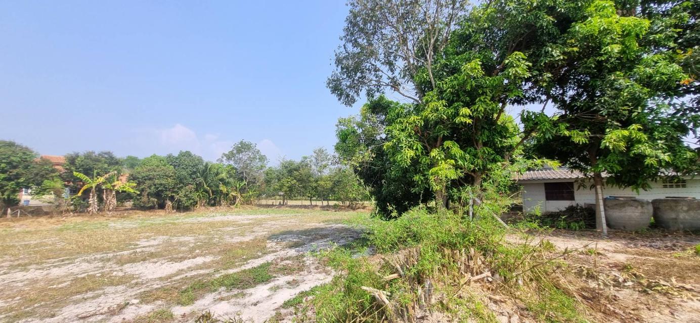 ขายที่ดินเปล่า นครนายก อ.เมือง 1 ไร่ 3 งาน 58 ตร.ว. ทำเลดี ติดคลอง ราคา 1.9 ล้าน 2