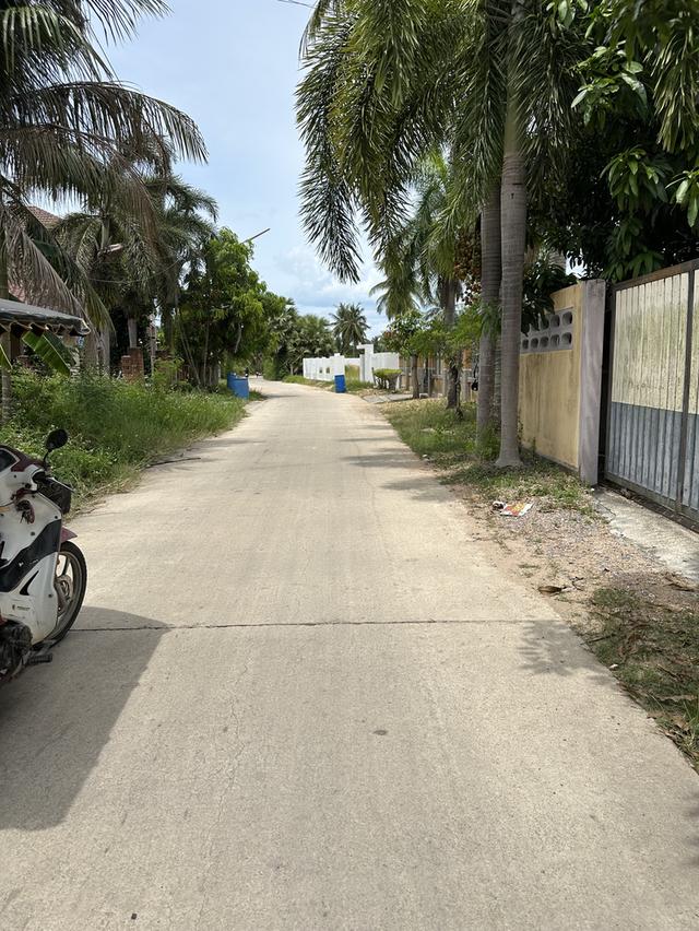 ขายที่ดินม่วงงาม จังหวัดสงขลา 11