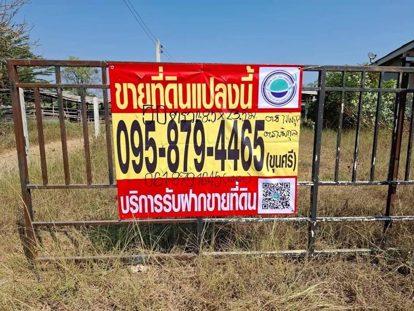 ขายด่วน  ทีดิน 50 ตารางวา "ติดถนนคอนกรีตสาธารณะ "ต.รางพิกุล อ.กำแพงแสน จ.นครปฐม 1