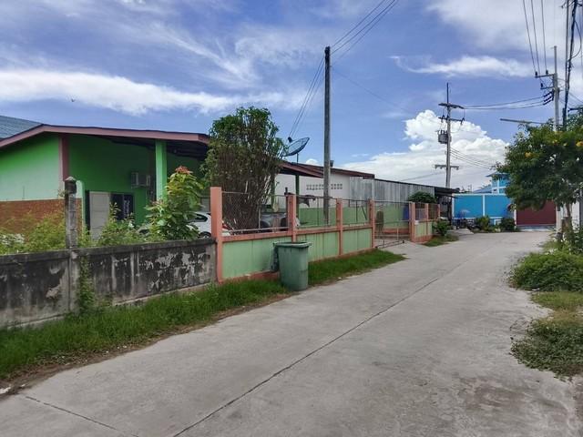 ขายหอพักพานทองชลบุรี ขายหอพัก 3 ห้อง ถนนสุขประยูร หนองตำลึง พานทอง ชลบุรี เนื้อที่ 86 ตรว. ห้องพัก3ห้องห้องละ3000 5