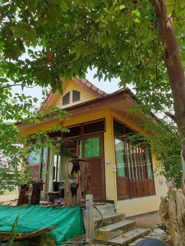 ขายที่ดินพร้อมสิ่งปลูกสร้าง อำเภอสันทราย จังหวัดเชียงใหม่ เนื้อที่ 3 งาน 48 ตารางวา 4