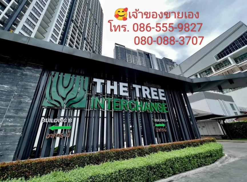 เจ้าของขายเอง คอนโดเดอะทรี อินเตอร์เชนต์ อาคารA ชั้น17 ทิศเหนือ 1